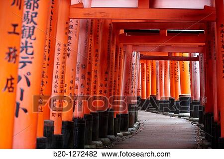 Toriis, Fushimi Inari Shrine, Kyoto, Japan. View Large Photo Image Stock Image - Toriis, Fushimi Inari Shrine, Kyoto, Japan.. Fotosearch