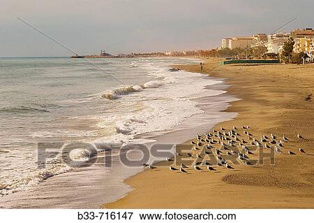 Torremolinos Malaga Province Costa del Sol Spain La Carihuela beach in winter View Large Photo Image Stock Photo - Torremolinos Malaga Province Costa del Sol Spain La Carihuela beach in winter. Fotosearch