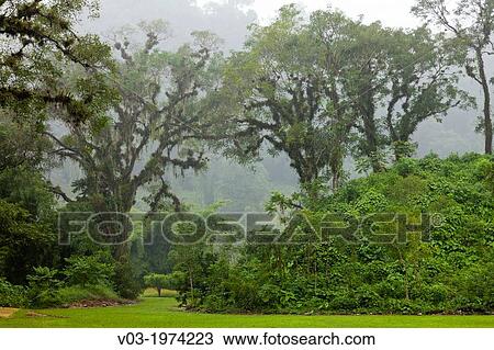 Totonaca ruins named: "El Huajilote", near Filobobos River, Veracruz, Mexico. View Large Photo Image Stock Image - Totonaca ruins named: "El Huajilote", near Filobobos River, Veracruz, Mexico.. Fotosearch