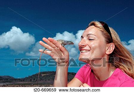Stock Photo - Tourist and Blue whiptail lizard, Cnemidophorus murinus ruthveni, Netherlands Antilles, Bonaire, Bonaire, Washington Slagbaai National Park, Boka Chikitu. Fotosearch