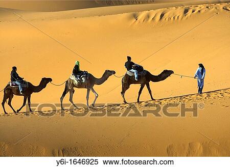 Tourist camel train Erg Chebbi Morocco View Large Photo Image Stock Photography - Tourist camel train Erg Chebbi Morocco. Fotosearch