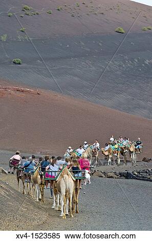 Stock Photography - Tourist group at Timanfaya Lanzarote, Canary Islands, Spain. Fotosearch