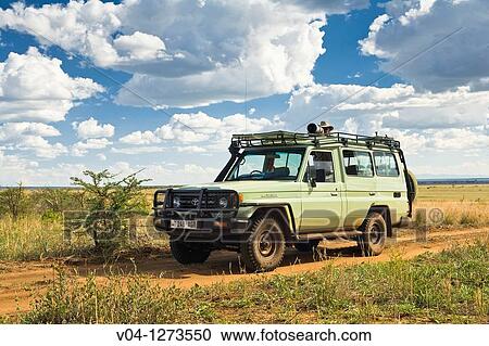 Tourist looking out of the car in the Tarangire National Park in Tanzania, Africa View Large Photo Image Stock Image - Tourist looking out of the car in the Tarangire National Park in Tanzania, Africa. Fotosearch