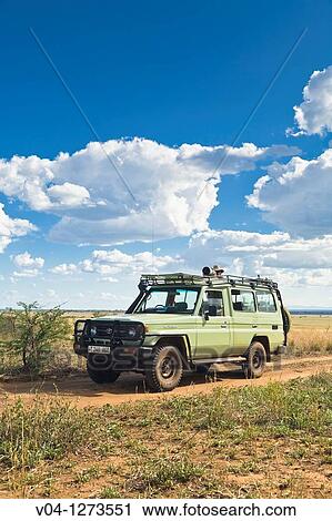 Tourist looking out of the car in the Tarangire National Park in Tanzania, Africa View Large Photo Image Stock Image - Tourist looking out of the car in the Tarangire National Park in Tanzania, Africa. Fotosearch