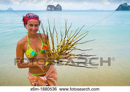 Tourist on the beach Ko Ngai island Trang islands Krabi province, Thailand View Large Photo Image Stock Photograph - Tourist on the beach Ko Ngai island Trang islands Krabi province, Thailand. Fotosearch
