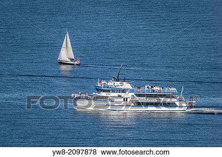 Stock Photo - Tourist on Whale Watching boat and small sailboat, summertime, Reykjavik, Iceland.. Fotosearch