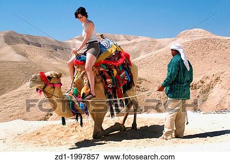 Tourist rides a camel of a bedouin man in the Judean Desert, Israel. View Large Photo Image Stock Photo - Tourist rides a camel of a bedouin man in the Judean Desert, Israel.. Fotosearch