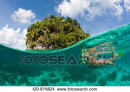 Tourist snorkeling at Palau, Micronesia, Palau View Large Photo Image Picture - Tourist snorkeling at Palau, Micronesia, Palau. Fotosearch
