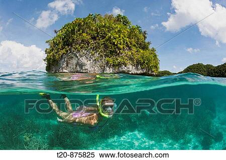 Tourist snorkeling at Palau, Micronesia, Palau View Large Photo Image Stock Photography - Tourist snorkeling at Palau, Micronesia, Palau. Fotosearch