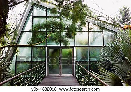 Stock Photo - Tourists at indoor rainforest greenhouse in The Singapore Botanical Gardens. Fotosearch