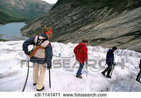 Tourists climb down Nigardsbreen glacier National Park of Jostedalbreen Norway View Large Photo Image Stock Image - Tourists climb down Nigardsbreen glacier National Park of Jostedalbreen Norway. Fotosearch