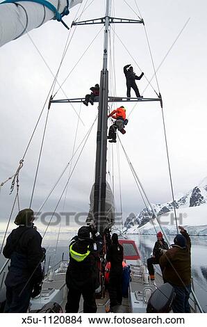 Tourists climbing the rigging on yacht Pelagic in the Lemaire channel, Antarctic peninsula View Large Photo Image Picture - Tourists climbing the rigging on yacht Pelagic in the Lemaire channel, Antarctic peninsula. Fotosearch
