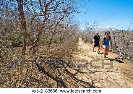 Stock Photograph - Tourists hiking on a trail in a dry forest in Rincon de la Vieja.. Fotosearch