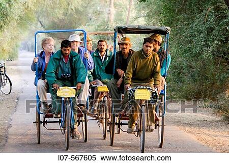 Stock Photography - Tourists in bird sanctuary being driven in cycle rickshaws. Bharatpur National Park. Rajasthan. India. Fotosearch