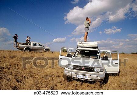 Stock Photo - Tourists on Safari, Kruger National Park, South Africa. Fotosearch