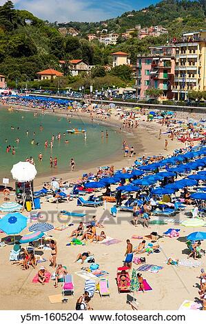 Tourists on the beach, Lerici, Province of La Spezia, Liguria, Italy, Europe View Large Photo Image Picture - Tourists on the beach, Lerici, Province of La Spezia, Liguria, Italy, Europe. Fotosearch