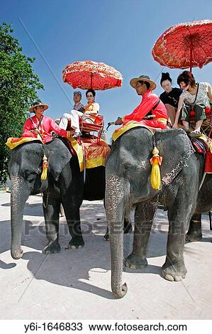 Tourists riding costume elephants view ancient temple site Ayutthaya Thailand View Large Photo Image Stock Image - Tourists riding costume elephants view ancient temple site Ayutthaya Thailand. Fotosearch