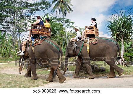 Stock Photograph - Tourists riding Sumatra's elephants, Bali, Indonesia, Asia. Fotosearch