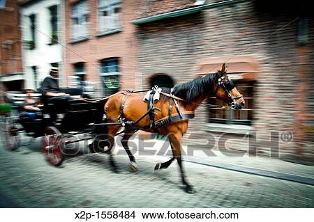 Tours in horse carriages in the center of Bruges, Flanders, Belgium View Large Photo Image Picture - Tours in horse carriages in the center of Bruges, Flanders, Belgium. Fotosearch