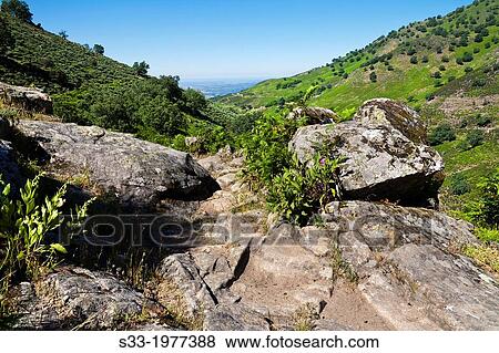 Track in the Chilla gorge in the Sierra de Gredos. Avila. Castilla Leon. Spain. View Large Photo Image Stock Photo - Track in the Chilla gorge in the Sierra de Gredos. Avila. Castilla Leon. Spain.. Fotosearch