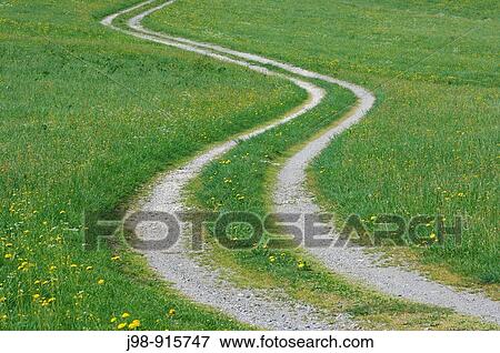 Track through meadows in spring. Bavaria, Germany View Large Photo Image Stock Photo - Track through meadows in spring. Bavaria, Germany. Fotosearch