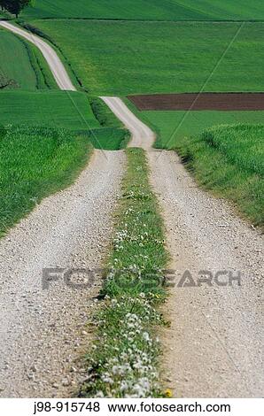 Track throuhg fields Bavaria, Germany, Europe View Large Photo Image Stock Photo - Track throuhg fields Bavaria, Germany, Europe. Fotosearch