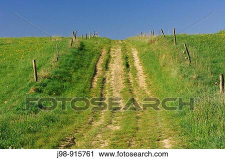 Track with fence and clear blue sky, spring Mecklenburg-Western Pomerania, Germany, Europe View Large Photo Image Stock Image - Track with fence and clear blue sky, spring Mecklenburg-Western Pomerania, Germany, Europe. Fotosearch