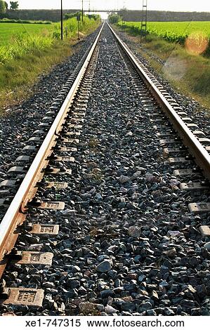Tracks, Mollerussa. Lleida province, Catalonia, Spain View Large Photo Image Stock Photography - Tracks, Mollerussa. Lleida province, Catalonia, Spain. Fotosearch