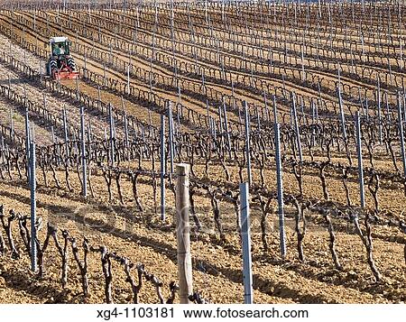 Tractor labrando en unos viedos en invierno en el Villar de? lava - Rioja Alavesa -? lava - Pa's Vasco - Euskadi - Espaa View Large Photo Image Stock Image - Tractor labrando en unos viedos en invierno en el Villar de? lava - Rioja Alavesa -? lava - Pa's Vasco - Euskadi - Espaa. Fotosearch