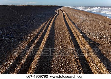 Stock Image - Tractor tracks Blakeney Point and North Sea Norfolk. Fotosearch