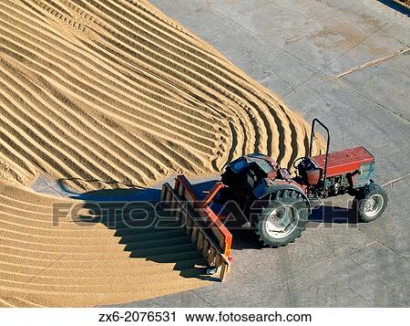 Tractor with special plough at threshing floor. Ebro River Delta Natural Park, Tarragona province, Catalonia, Spain. View Large Photo Image Stock Image - Tractor with special plough at threshing floor. Ebro River Delta Natural Park, Tarragona province, Catalonia, Spain.. Fotosearch