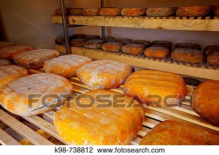 Traditional cheese made in Es Tudons farmstead, Ciutadella. Minorca, Balearic Islands, Spain View Large Photo Image Stock Image - Traditional cheese made in Es Tudons farmstead, Ciutadella. Minorca, Balearic Islands, Spain. Fotosearch