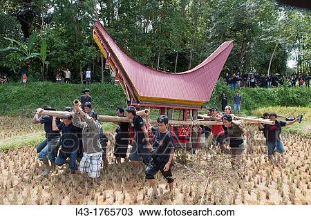 Stock Image - traditional funeral ceremony in Tana toraja, sulawesi, indonesia. Fotosearch