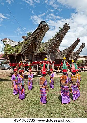 traditional funeral ceremony in Tana toraja, sulawesi, indonesia View Large Photo Image Stock Photography - traditional funeral ceremony in Tana toraja, sulawesi, indonesia. Fotosearch