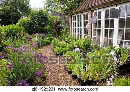 Traditional house and garden in Kent England. Gravel path through borders and planted perennials prepared and ready for planting. View Large Photo Image Stock Image - Traditional house and garden in Kent England. Gravel path through borders and planted perennials prepared and ready for planting.. Fotosearch