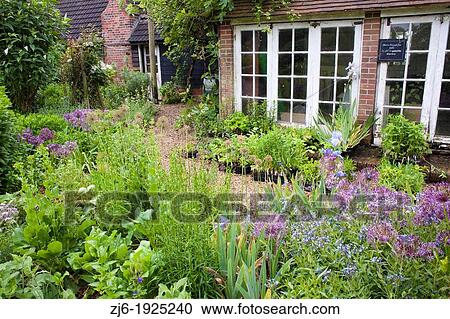 Traditional house and garden in Kent England. Gravel path through borders and planted perennials prepared and ready for planting. View Large Photo Image Stock Image - Traditional house and garden in Kent England. Gravel path through borders and planted perennials prepared and ready for planting.. Fotosearch