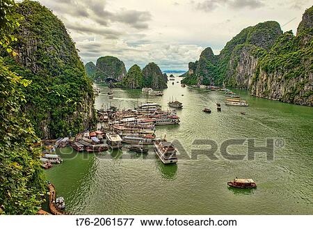 traditional junks sailing in Halong Bay, Vietnam. View Large Photo Image Stock Photo - traditional junks sailing in Halong Bay, Vietnam.. Fotosearch