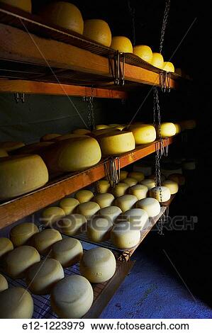 Traditional sheep cheese, Jean-Pierre & Manuel Mallaroni, Urtolu valley, Sartene, South Corsica, Corsica, France View Large Photo Image Stock Photo - Traditional sheep cheese, Jean-Pierre & Manuel Mallaroni, Urtolu valley, Sartene, South Corsica, Corsica, France. Fotosearch