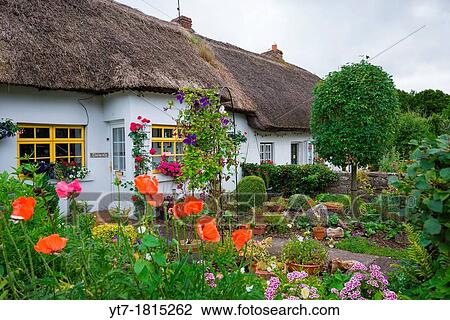 Traditional thatched cottages at Adare, county Limerick, Ireland View Large Photo Image Stock Image - Traditional thatched cottages at Adare, county Limerick, Ireland. Fotosearch