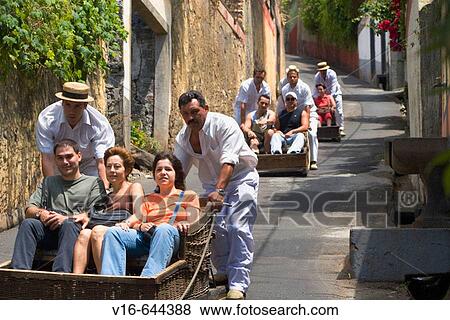 Traditional toboggan ride, Funchal, Madeira View Large Photo Image Stock Photo - Traditional toboggan ride, Funchal, Madeira. Fotosearch