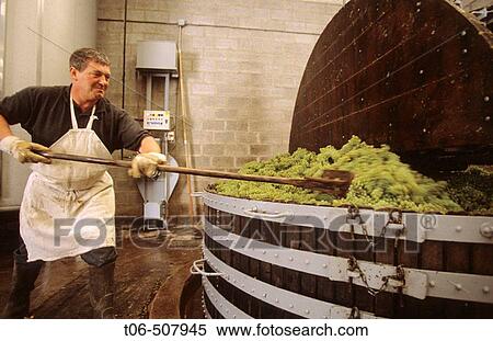 Stock Photography - Traditional wine-press for chardonnay grap, Champagne district, France. Fotosearch