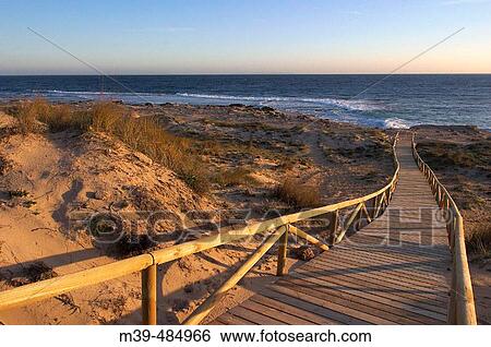 Trafalgar Cape, beach of Caos de Meca. CBdiz province, Andalusia, Spain View Large Photo Image Stock Photograph - Trafalgar Cape, beach of Caos de Meca. CBdiz province, Andalusia, Spain. Fotosearch