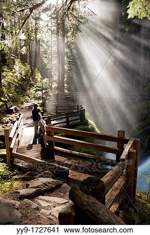 Trail near Sol Duc Falls - Olympic National Park, near Port Angeles, Washington, USA View Large Photo Image Stock Image - Trail near Sol Duc Falls - Olympic National Park, near Port Angeles, Washington, USA. Fotosearch