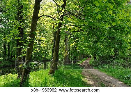 trail on the banks of the Eure river, Maintenon, Eure-et-Loir department, Centre region, France, Europe. View Large Photo Image Stock Image - trail on the banks of the Eure river, Maintenon, Eure-et-Loir department, Centre region, France, Europe.. Fotosearch