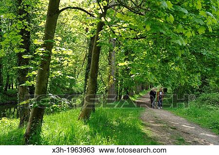 trail on the banks of the Eure river, Maintenon, Eure-et-Loir department, Centre region, France, Europe. View Large Photo Image Stock Image - trail on the banks of the Eure river, Maintenon, Eure-et-Loir department, Centre region, France, Europe.. Fotosearch