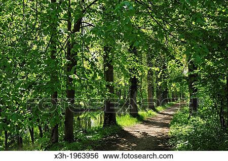 trail on the banks of the Eure river, Maintenon, Eure-et-Loir department, Centre region, France, Europe. View Large Photo Image Stock Photograph - trail on the banks of the Eure river, Maintenon, Eure-et-Loir department, Centre region, France, Europe.. Fotosearch