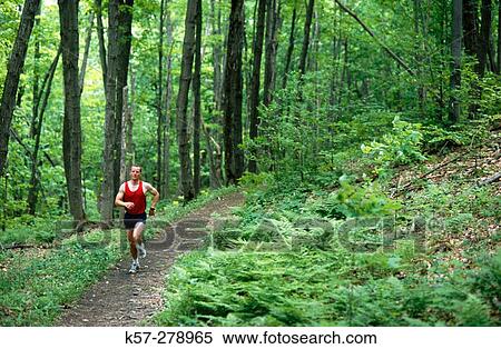 Trail Running View Large Photo Image Stock Photography - Trail Running. Fotosearch