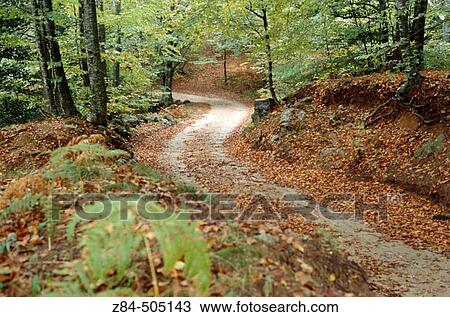 Trail View Large Photo Image Stock Image - Trail. Fotosearch