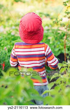 Tranquil summer scene. Young girl standing in garden, watching plants and flowers. View Large Photo Image Stock Image - Tranquil summer scene. Young girl standing in garden, watching plants and flowers.. Fotosearch