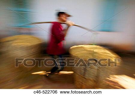 Transporting rice. Ho Chi Minh City. Vietnam View Large Photo Image Stock Photograph - Transporting rice. Ho Chi Minh City. Vietnam. Fotosearch